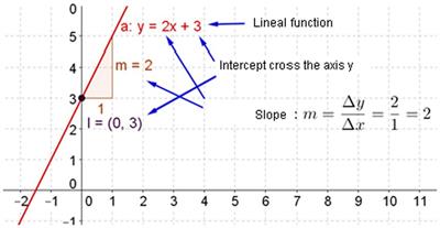 Using interactive learning objects in teaching accounting sciences: a case study